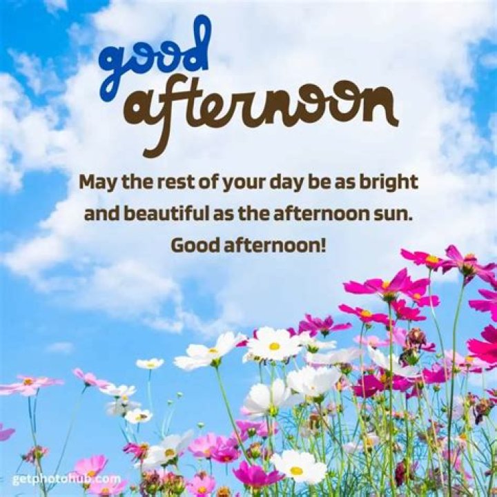 100 Good Afternoon Greetings Sure to Brighten Someone's Day
