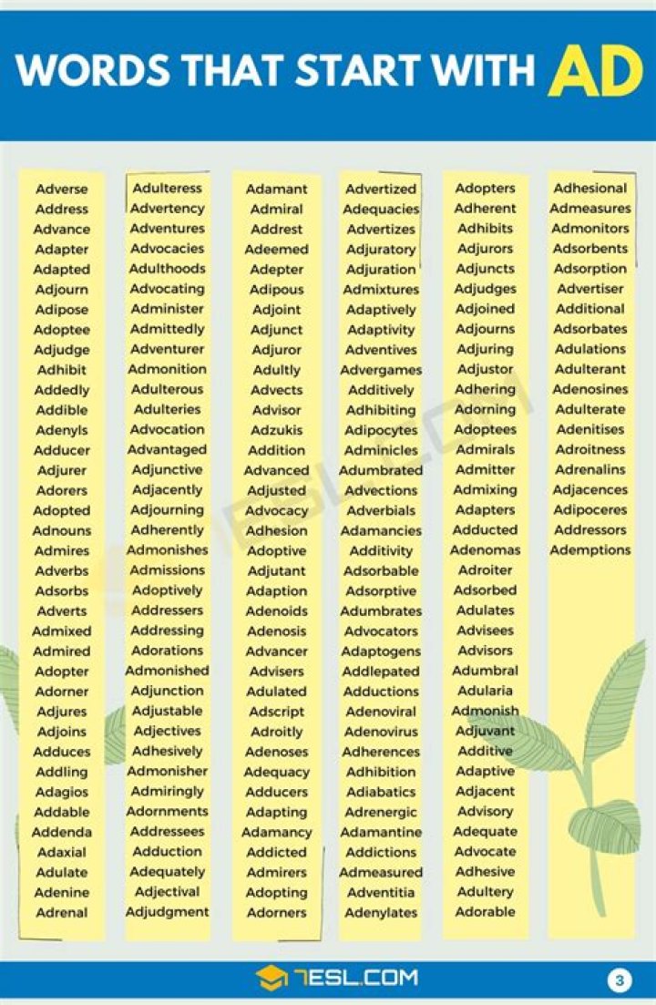 25 Common Words That Didn't Exist Until the 1970s