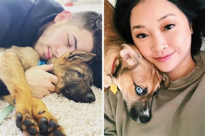 30 Funniest Celebrity Pet Names — Best Life