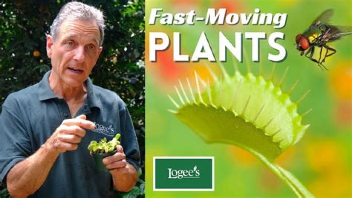 35 Fascinating Fast Facts for When You're Bored