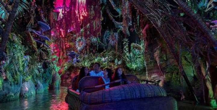 5 Low-Key Attractions at Walt Disney World