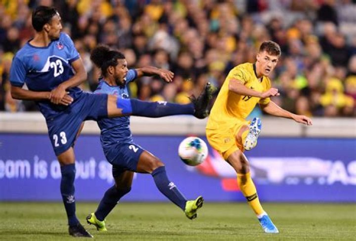 Ajdin Hrustic: A Australian in German football