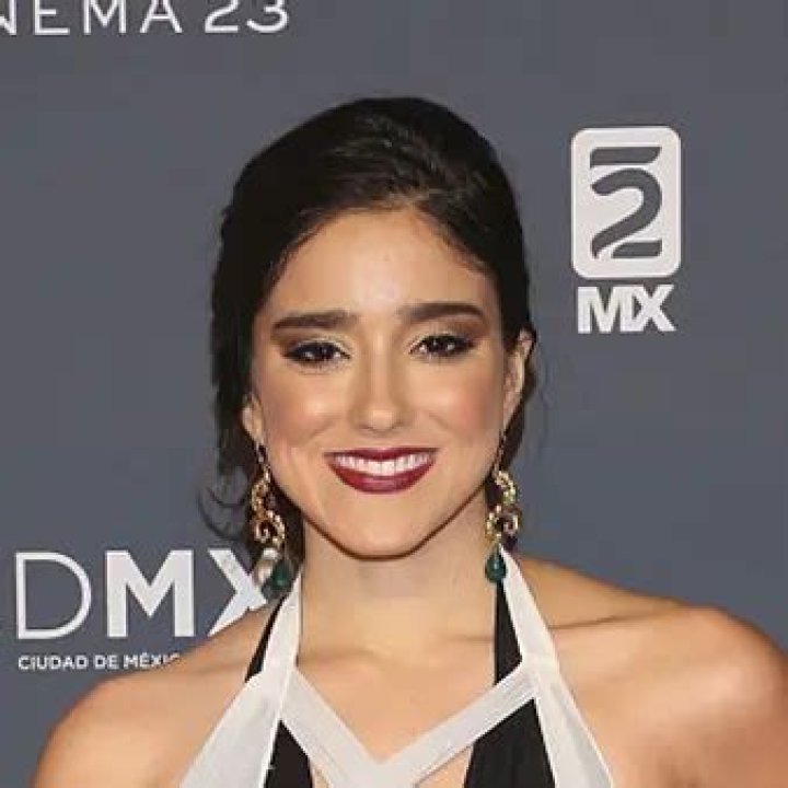 Alan Castillo Net Worth | Celebrity Net Worth