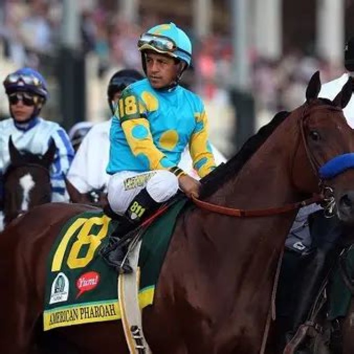 American Pharoah Is Going To Make His Owners A Huge Fortune Off The Racetrack (In The Bedroom)