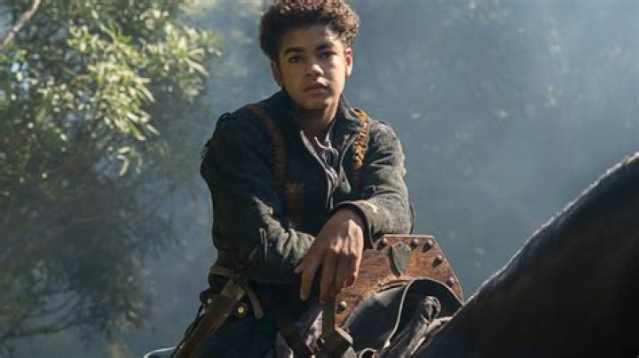 Amir Wilson | Tiuri, The Letter For The King Netflix, Actor, Will Parry, His Dark Materials, Net Worth, Age, Father, Wikipedia, Birthday, Wiki, Bio, Height, Date Of Birth, Lion King, Nationality, The King Who Would Be King