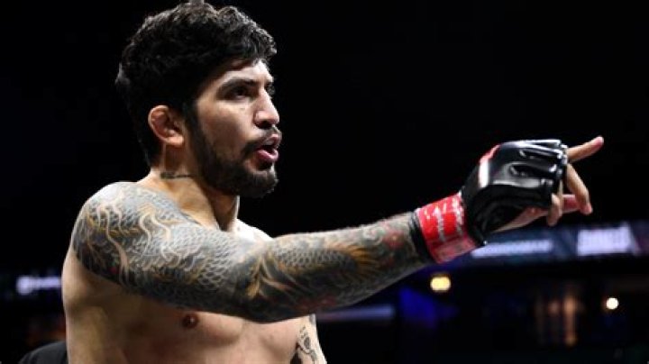 An American MMA fighter, Dillon Danis who is reportedly single, has an estimated net worth of $1 million.