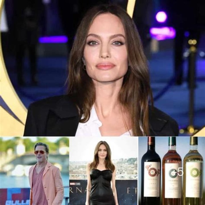 Angelina Jolie's Former Investment Company Is Suing Brad Pitt For $250 Million Over Chateau Miraval Wine Company