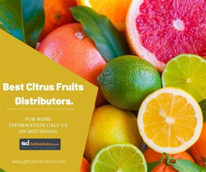 Best Citrus Fruits for Weight Loss