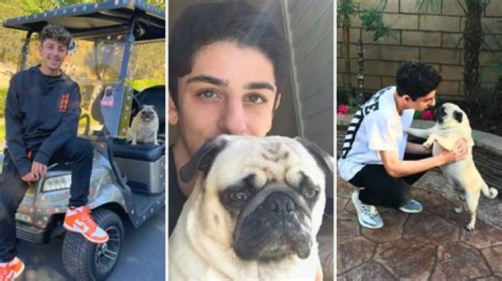 Bosley FaZe Rug - Bio, Age, Wiki, Facts and Family