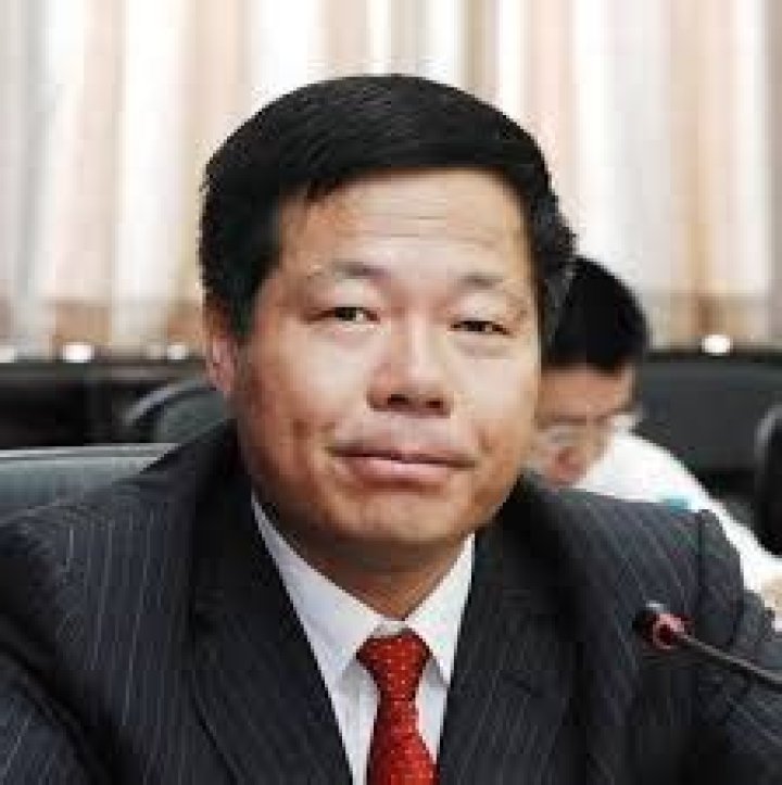 Chen Jinshi Net Worth | Celebrity Net Worth