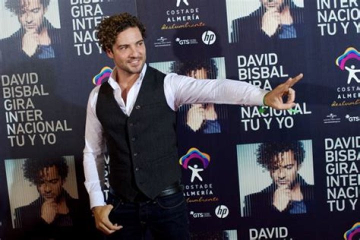 David Bisbal Net Worth | Celebrity Net Worth
