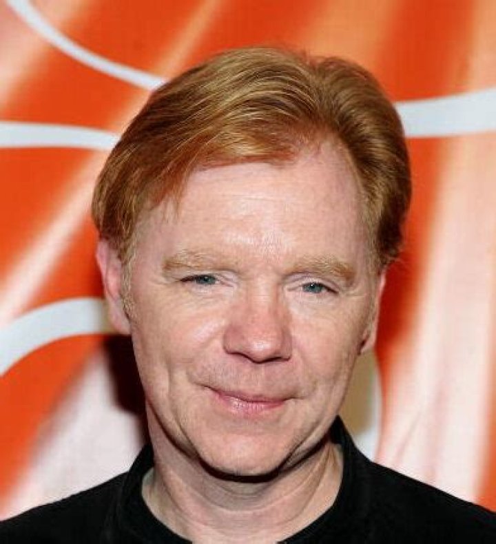 David Caruso Net Worth | Celebrity Net Worth