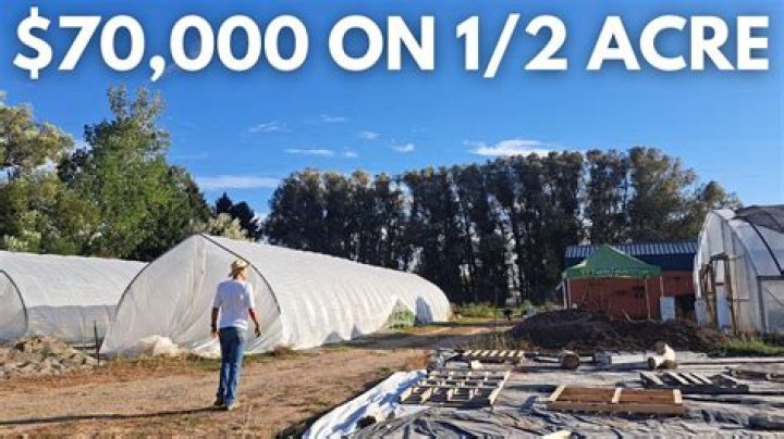 Drew Carey Covered $600,000 Worth Of Food Tabs At Two Restaurants Near The WGA Picket Lines