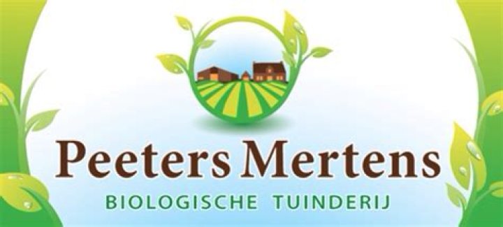 Dries Mertens Bio - married, net worth