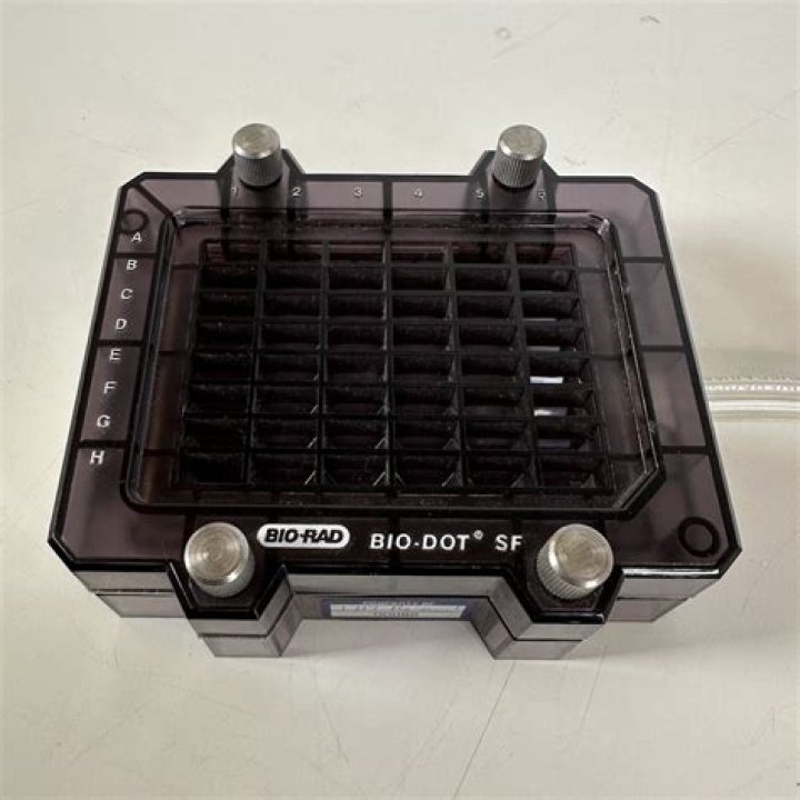 E.dot - Bio, Age, Wiki, Facts and Family