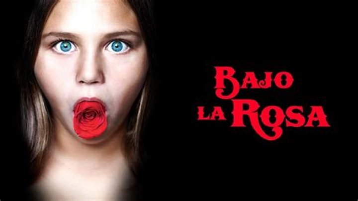 Elisabet Gelabert Height, Weight, Age, Body Statistics