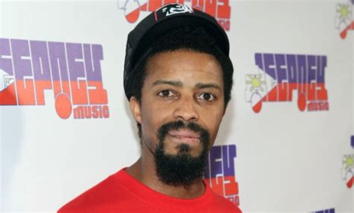 Fatlip Net Worth | Celebrity Net Worth