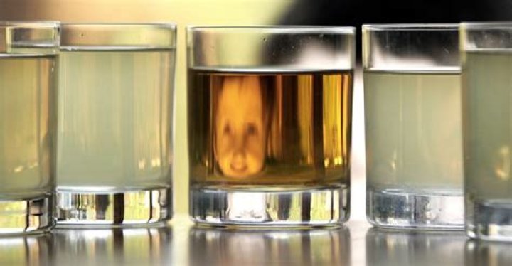 From Skid Row Junkie To Millionaire All Thanks To Juice