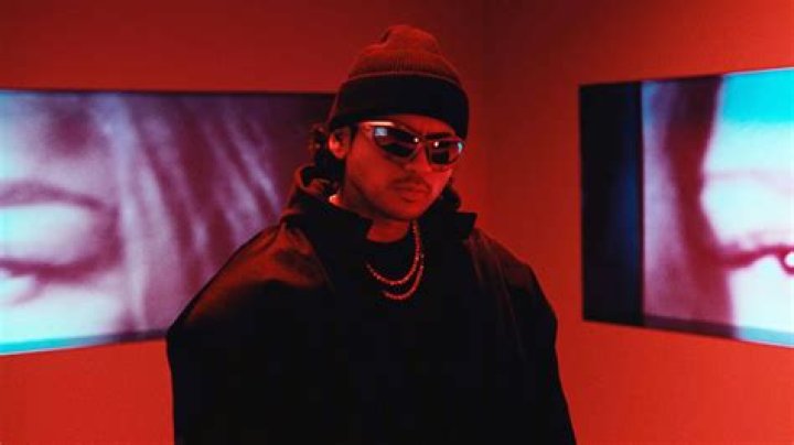 FUERZA REGIDA video statistics