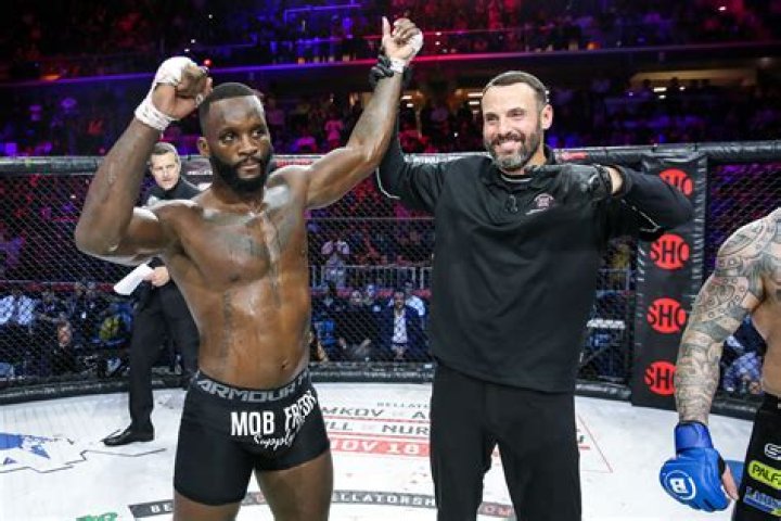 Gegard Mousasi, Biography, MMA, Middleweight, girlfriend, relationship, married, net worth, record