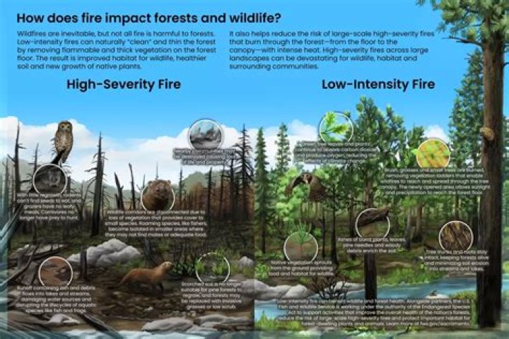 How Did It Affect Her Confidence?