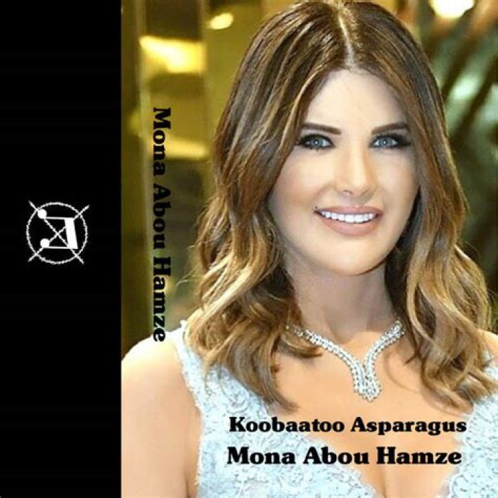 Mona Abou Hamze - Bio, Age, Wiki, Facts and Family