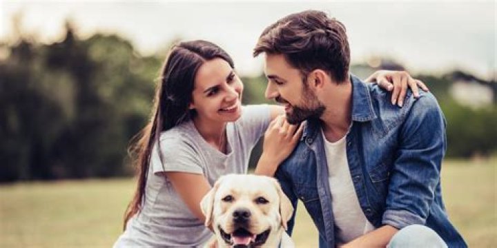 People With These Dog Breeds Make the Best Romantic Partners — Best Life