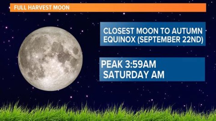 Pumpkin-Like Harvest Moon Will Light Up the Night Sky Friday—Here's How to See It
