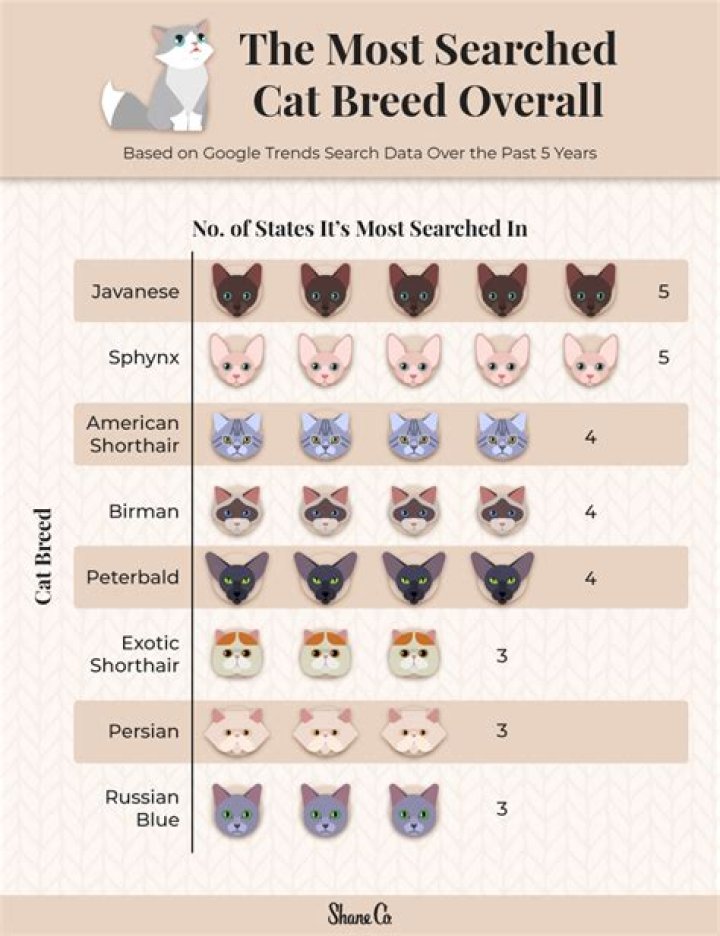 This Is the Most Popular Cat Name in Every State