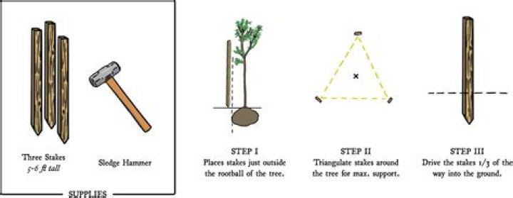 Three Six Zero Acquires Stake in Management Company Palm Artists