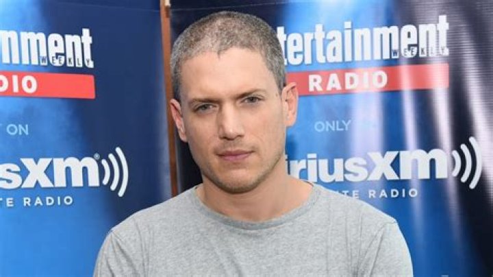 Wentworth Miller Net Worth | Celebrity Net Worth