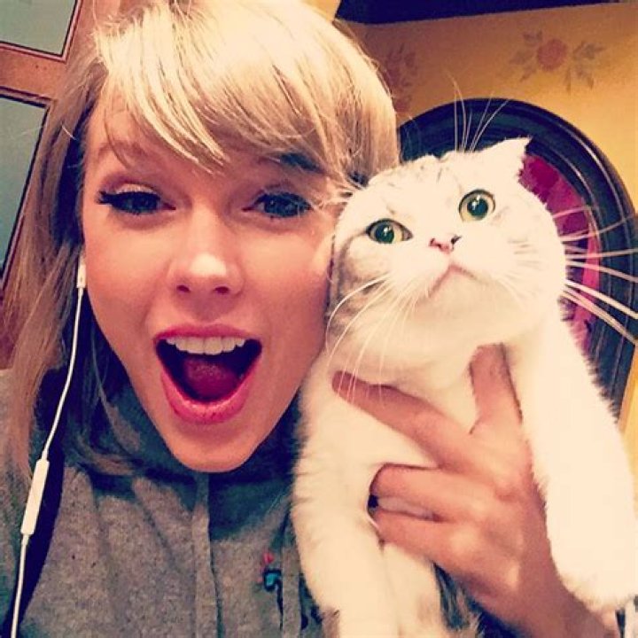 What Is Taylor Swift's Favorite Animal?