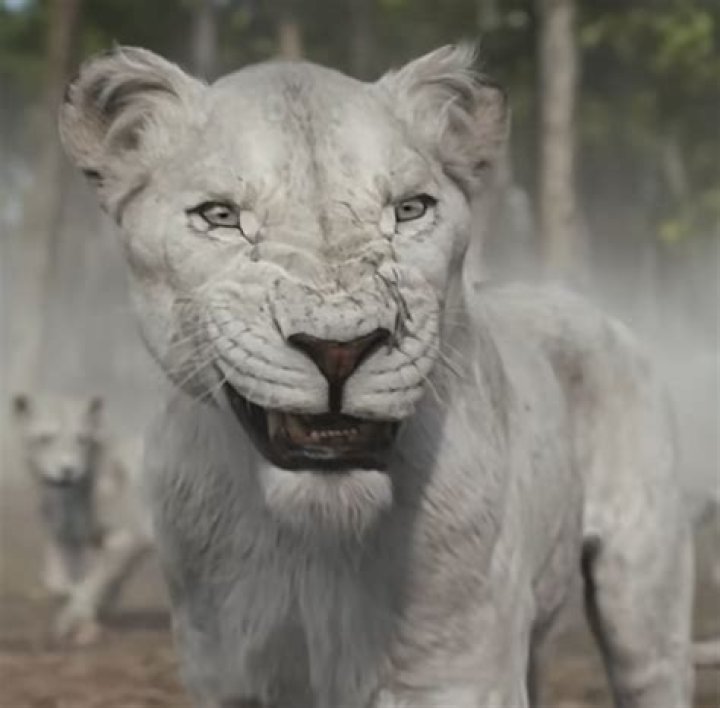 Who is Amara Miller Dating Now?