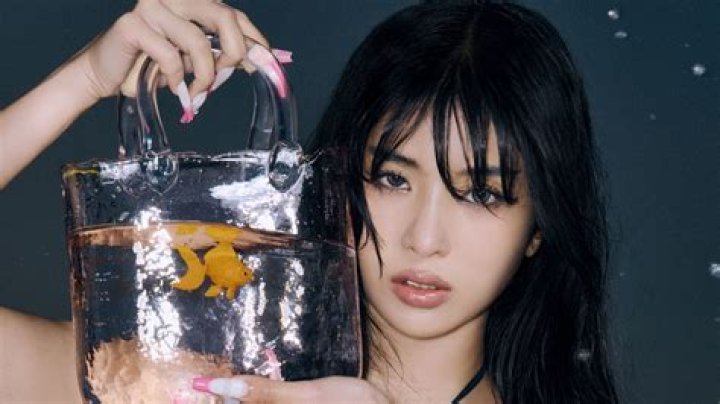 Who is Sophia Stallone Dating Now