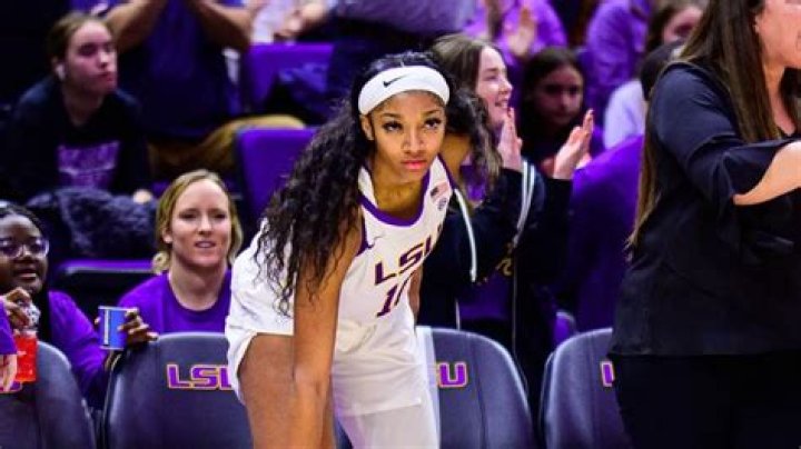 Who Makes The Cakes For Is It Cake? Know About Monika Stout!